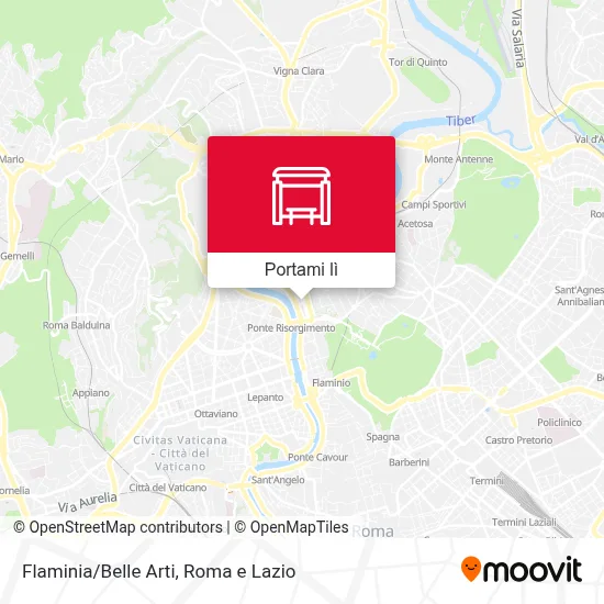 Mappa Flaminia/Belle Arti