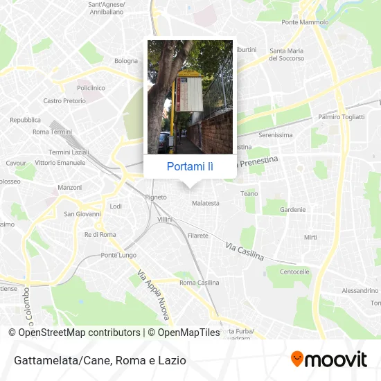 Mappa Gattamelata/Cane