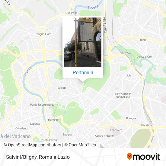 Mappa Salvini/Bligny