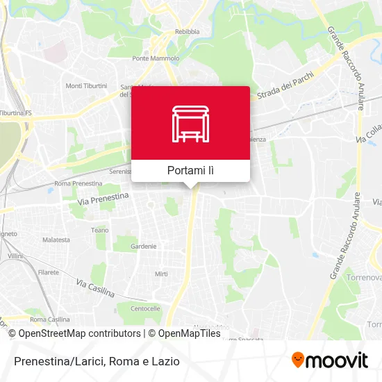 Mappa Prenestina/Larici