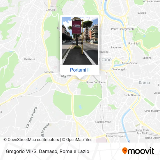 Mappa Gregorio Vii/S. Damaso