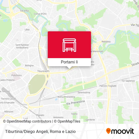 Mappa Tiburtina/Diego Angeli