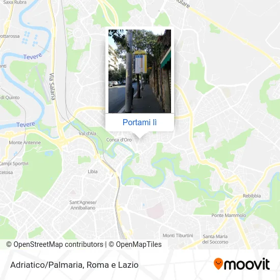 Mappa Adriatico/Palmaria