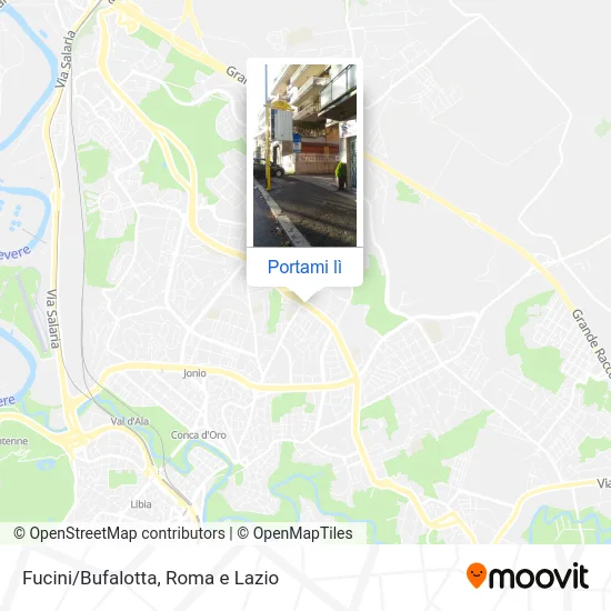 Mappa Fucini/Bufalotta