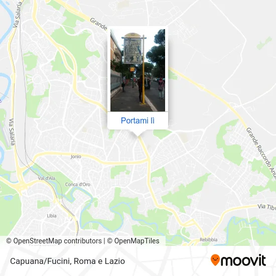 Mappa Capuana/Fucini