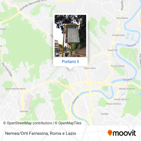 Mappa Nemea/Orti Farnesina