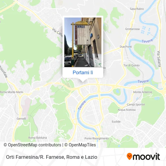 Mappa Orti Farnesina/R. Farnese