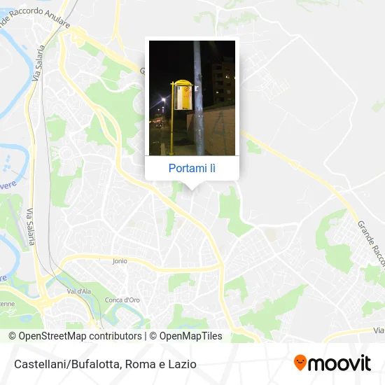 Mappa Castellani/Bufalotta