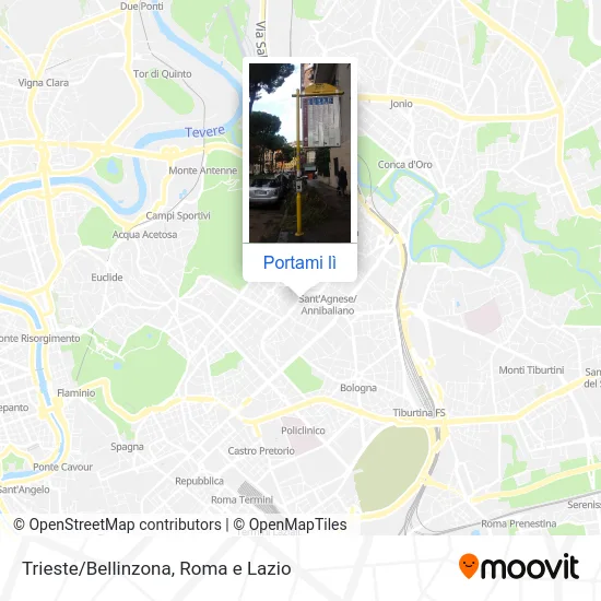 Mappa Trieste/Bellinzona