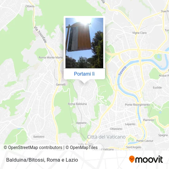 Mappa Balduina/Bitossi