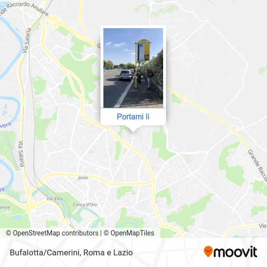 Mappa Bufalotta/Camerini