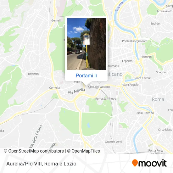 Mappa Aurelia/Pio VIII