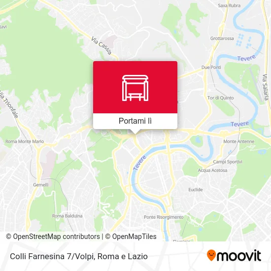 Mappa Colli Farnesina 7/Volpi