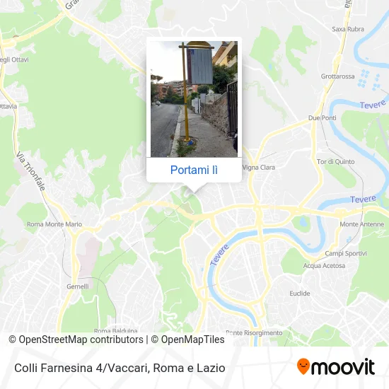 Mappa Colli Farnesina 4/Vaccari