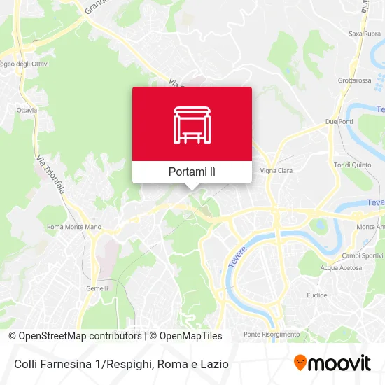 Mappa Colli Farnesina 1/Respighi