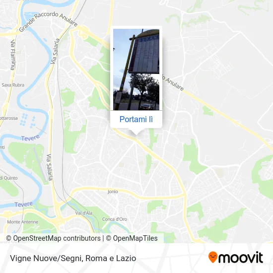 Mappa Vigne Nuove/Segni