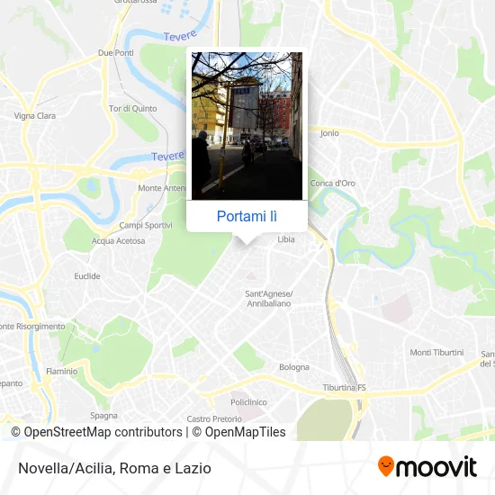 Mappa Novella/Acilia