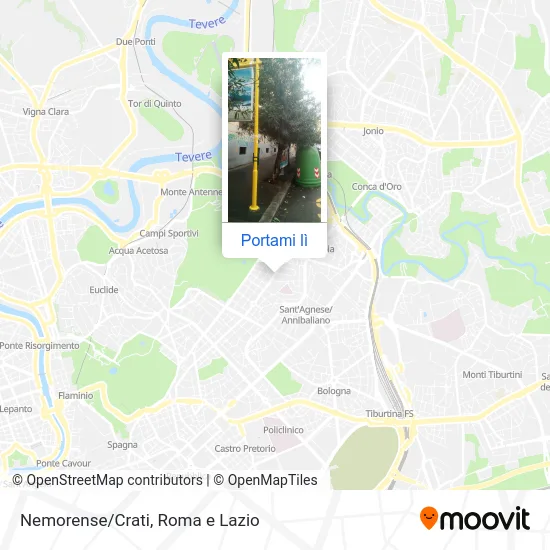 Mappa Nemorense/Crati