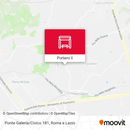 Mappa Ponte Galeria/Civico 181