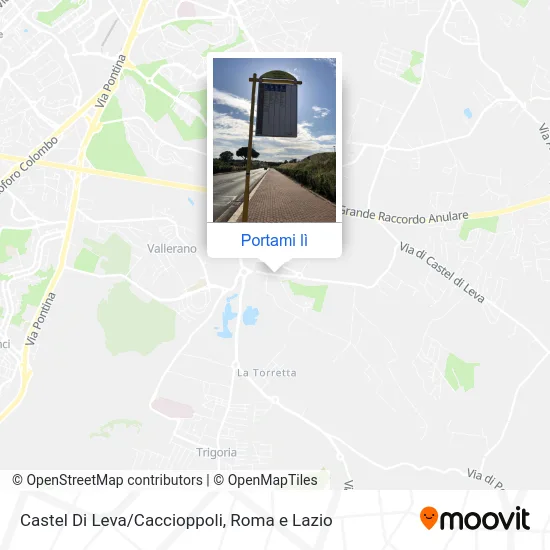 Mappa Castel Di Leva/Caccioppoli