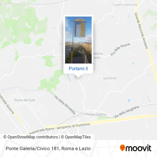 Mappa Ponte Galeria/Civico 181