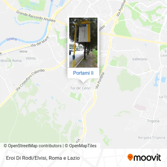 Mappa Eroi Di Rodi/Elvisi