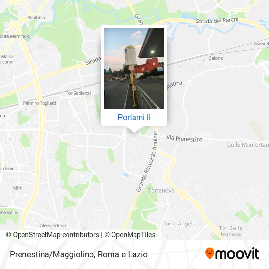 Mappa Prenestina/Maggiolino