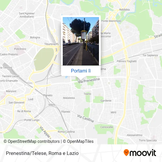 Mappa Prenestina/Telese