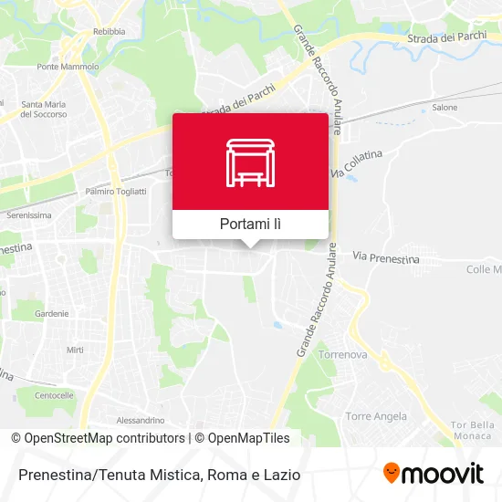 Mappa Prenestina/Tenuta Mistica