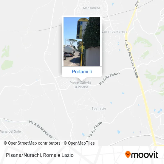 Mappa Pisana/Nurachi