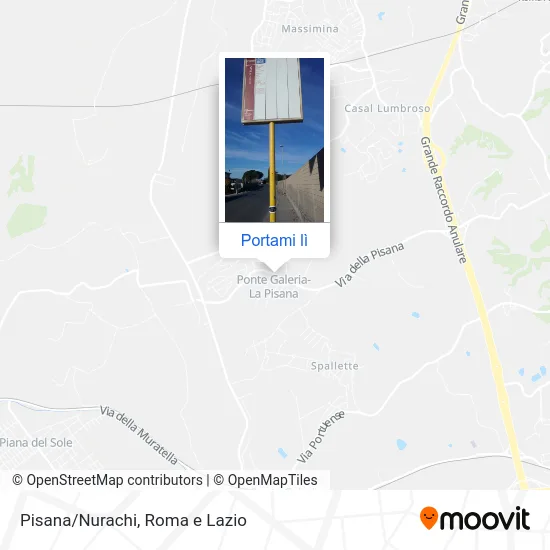 Mappa Pisana/Nurachi