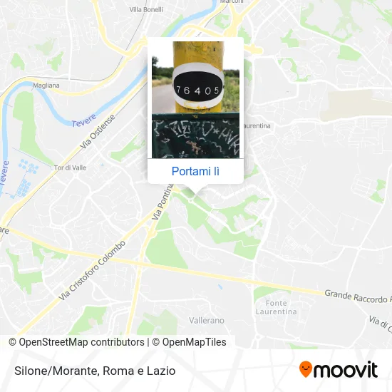 Mappa Silone/Morante