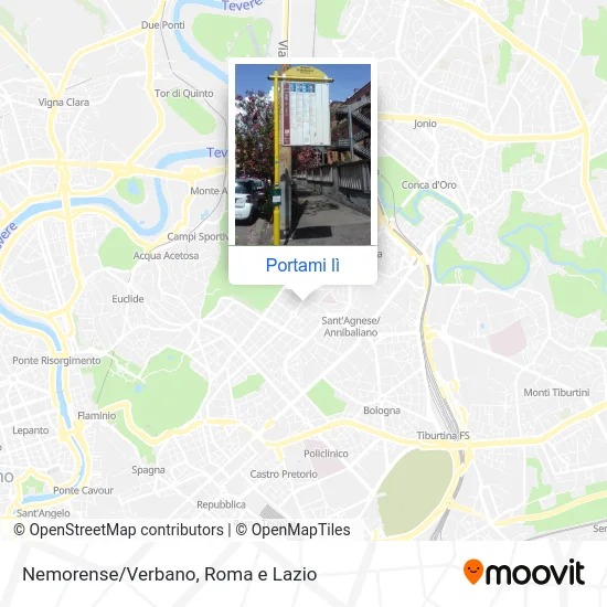 Mappa Nemorense/Verbano