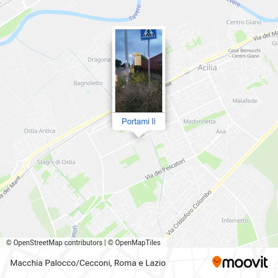 Mappa Macchia Palocco/Cecconi