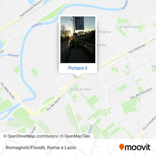 Mappa Romagnoli/Fiorelli