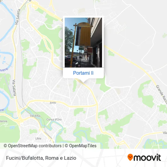 Mappa Fucini/Bufalotta