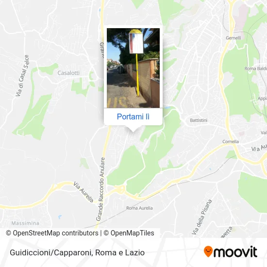 Mappa Guidiccioni/Capparoni