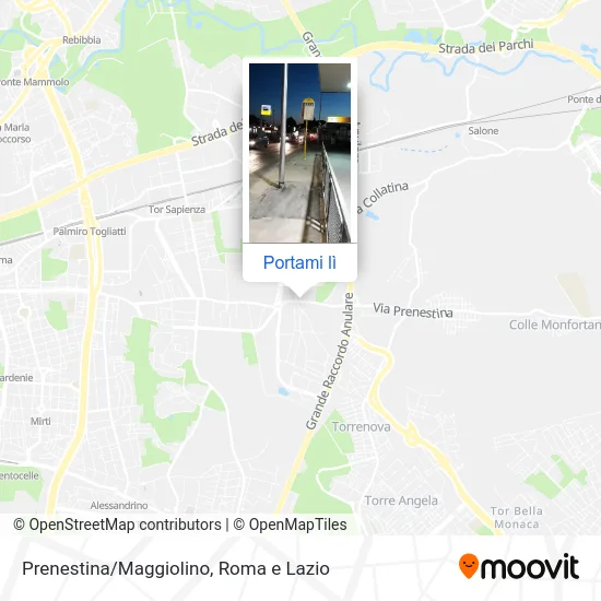 Mappa Prenestina/Maggiolino