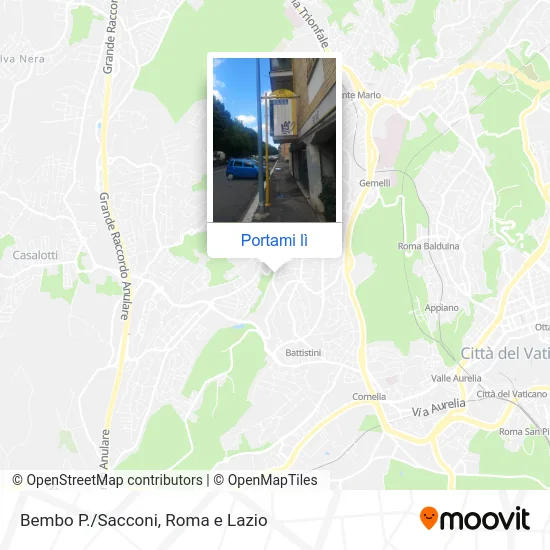 Mappa Bembo P./Sacconi