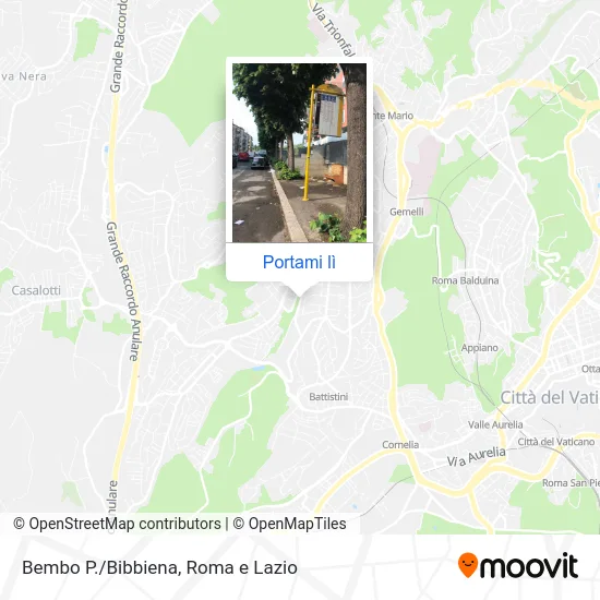 Mappa Bembo P./Bibbiena