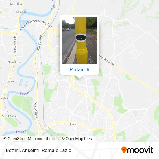 Mappa Bettini/Anselmi