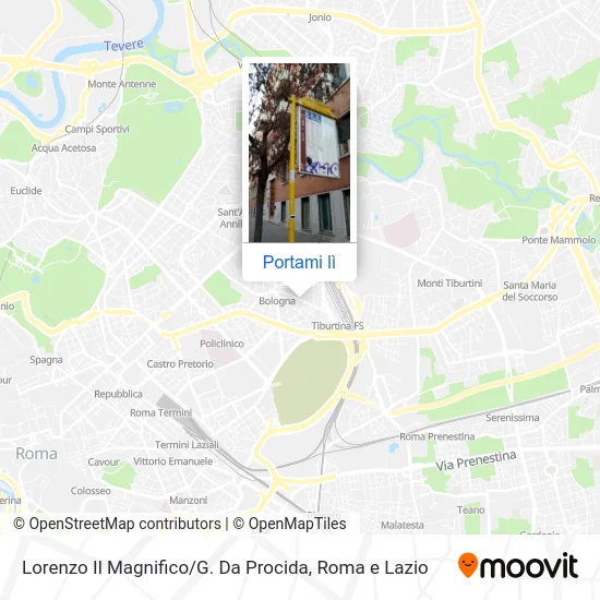 Mappa Lorenzo Il Magnifico / G. Da Procida