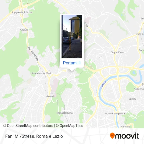 Mappa Fani M./Stresa