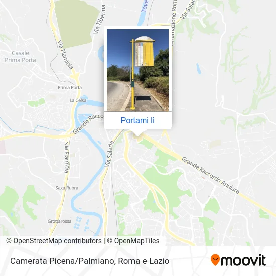 Mappa Camerata Picena/Palmiano