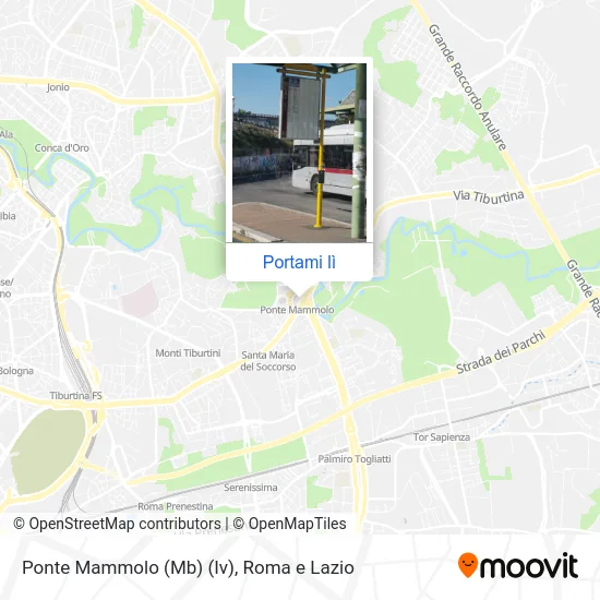 Mappa Ponte Mammolo (Mb) (Iv)