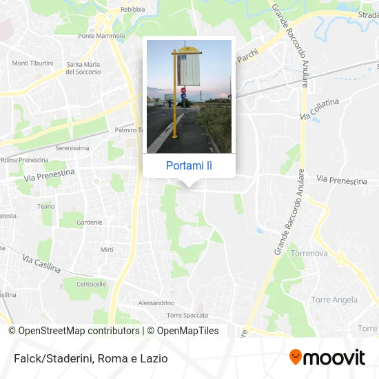 Mappa Falck/Staderini