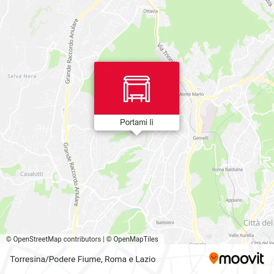 Mappa Torresina/Podere Fiume