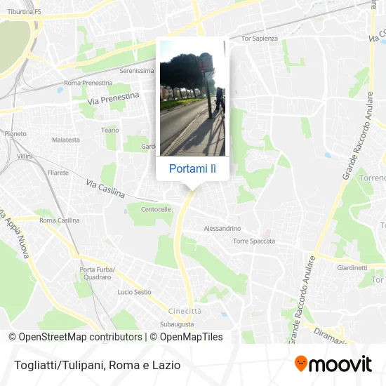 Mappa Togliatti/Tulipani