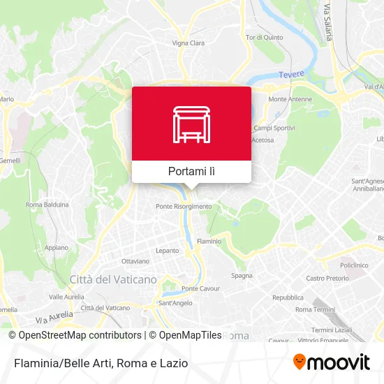 Mappa Flaminia/Belle Arti
