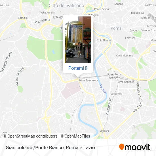 Mappa Gianicolense/Ponte Bianco